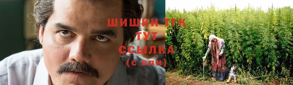 мет Арсеньев