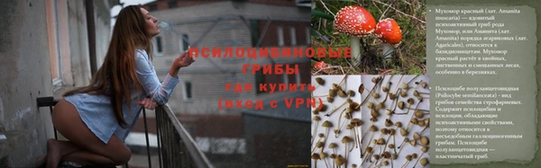 мет Арсеньев