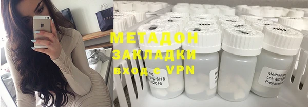 индика Алзамай