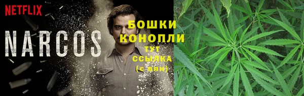 гидра Аркадак