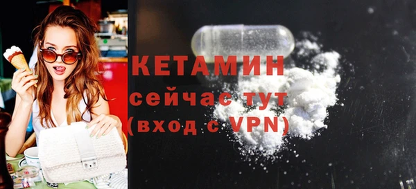 гидра Аркадак