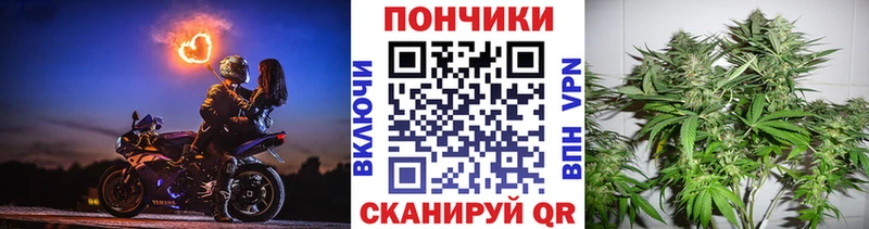 дарнет шоп Козьмодемьянск Канабис конопля